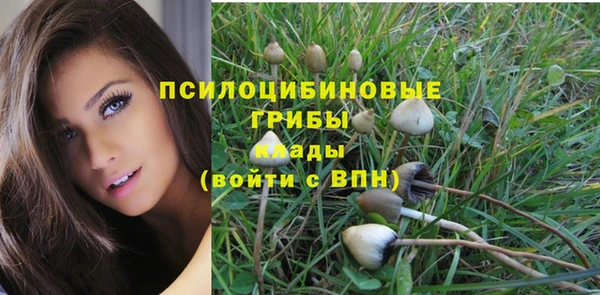 гашик Осинники