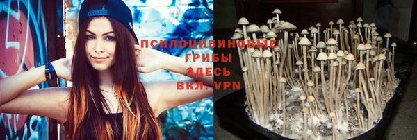 ешки Алексеевка