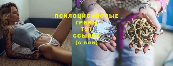 мяу мяу мука Алзамай