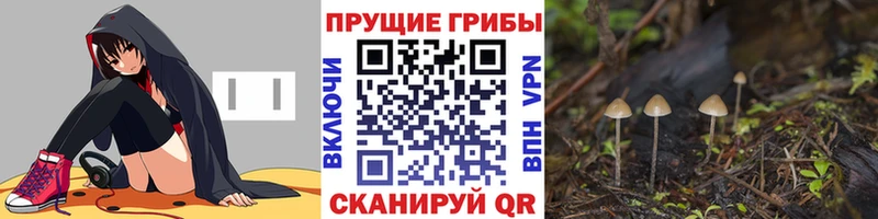 Псилоцибиновые грибы MAGIC MUSHROOMS  Миасс 