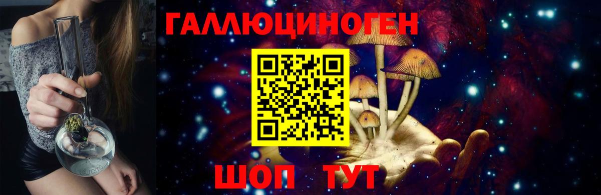 Псилоцибиновые грибы Psilocybine cubensis Миасс
