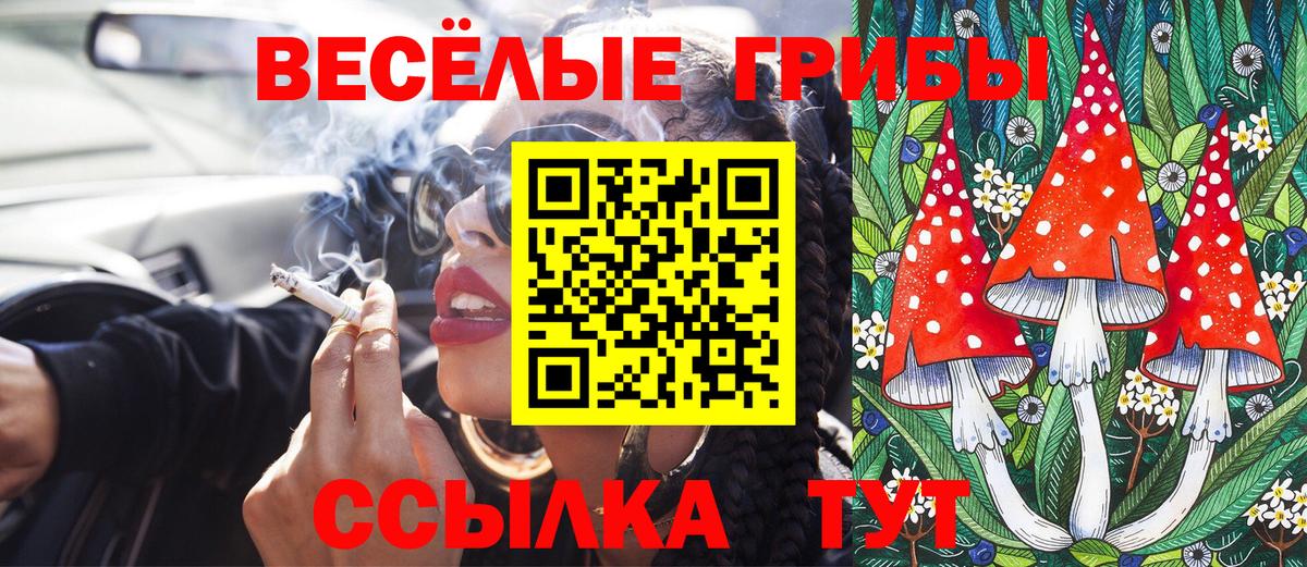 Миасс  наркошоп  Вход с VPN  Псилоцибиновые грибы Magic Shrooms 